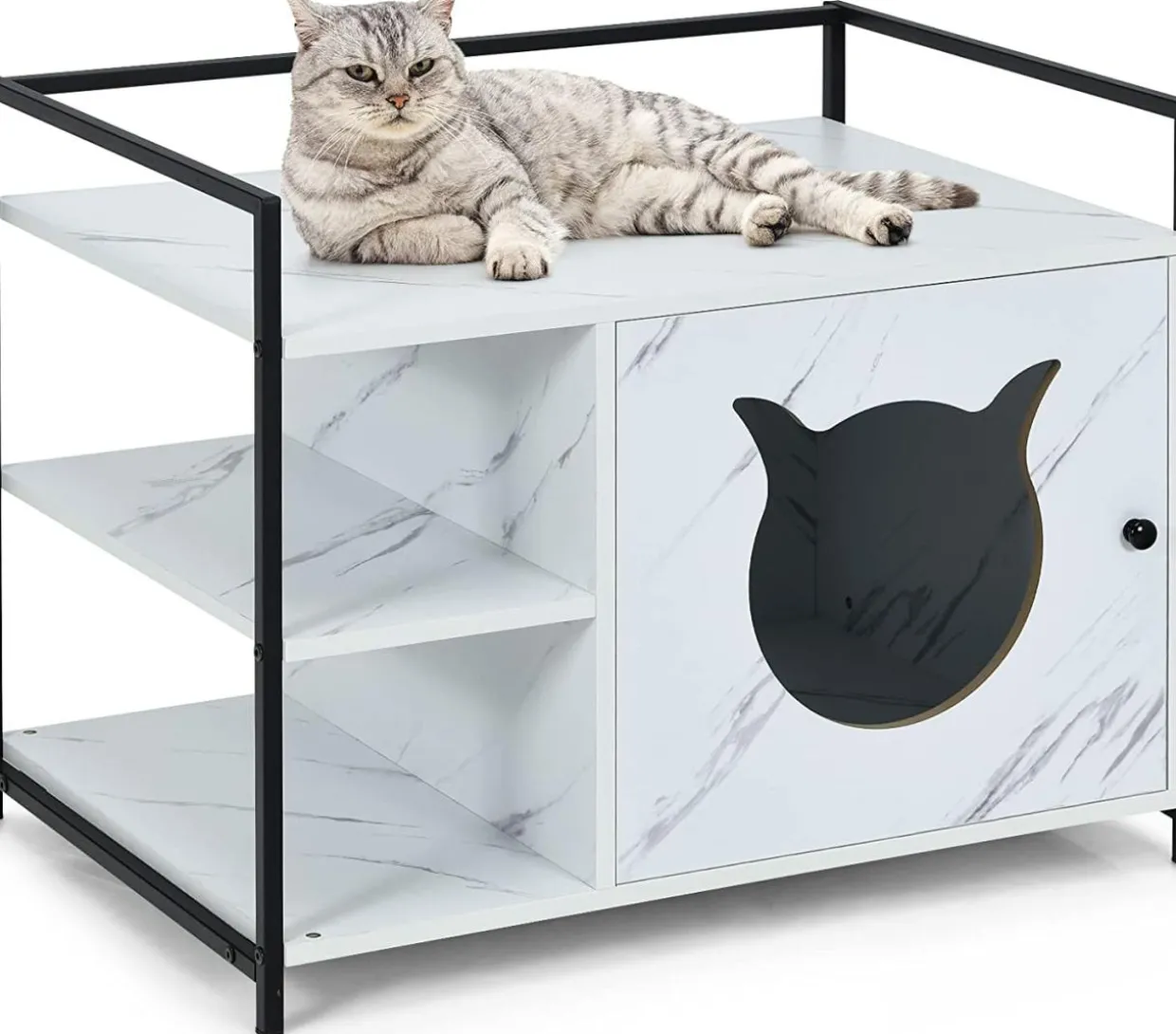 Cat Litter Box Enclosure, 2-in-1 Hidden Cat Washroom & Side Table W/ 2-Tier Storage Shelf