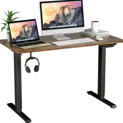 Electric Dual Motor Standing Desk, 48 x 24/48 x 30 Inch Height Adjustable Sit Stand Computer Workstation