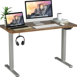 Electric Dual Motor Standing Desk, 48 x 24/48 x 30 Inch Height Adjustable Sit Stand Computer Workstation
