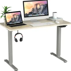 Electric Dual Motor Standing Desk, 48 x 24/48 x 30 Inch Height Adjustable Sit Stand Computer Workstation