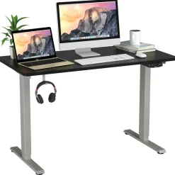 Electric Dual Motor Standing Desk, 48 x 24/48 x 30 Inch Height Adjustable Sit Stand Computer Workstation