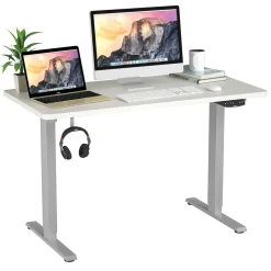 Electric Dual Motor Standing Desk, 48 x 24/48 x 30 Inch Height Adjustable Sit Stand Computer Workstation