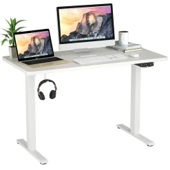 Electric Dual Motor Standing Desk, 48 x 24/48 x 30 Inch Height Adjustable Sit Stand Computer Workstation