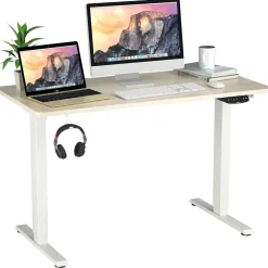 Electric Dual Motor Standing Desk, 48 x 24/48 x 30 Inch Height Adjustable Sit Stand Computer Workstation