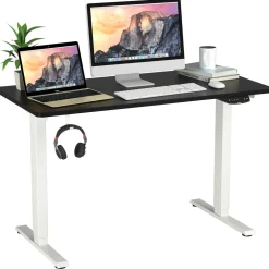 Electric Dual Motor Standing Desk, 48 x 24/48 x 30 Inch Height Adjustable Sit Stand Computer Workstation