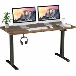 Electric Dual Motor Standing Desk, 48 x 24/48 x 30 Inch Height Adjustable Sit Stand Computer Workstation