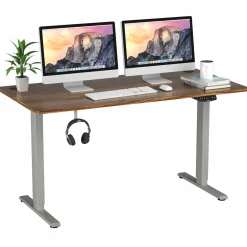 Electric Dual Motor Standing Desk, 48 x 24/48 x 30 Inch Height Adjustable Sit Stand Computer Workstation