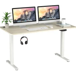 Electric Dual Motor Standing Desk, 48 x 24/48 x 30 Inch Height Adjustable Sit Stand Computer Workstation