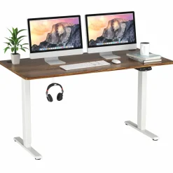 Electric Dual Motor Standing Desk, 48 x 24/48 x 30 Inch Height Adjustable Sit Stand Computer Workstation