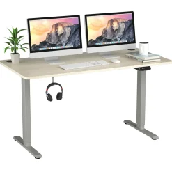 Electric Dual Motor Standing Desk, 48 x 24/48 x 30 Inch Height Adjustable Sit Stand Computer Workstation