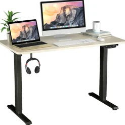 Electric Dual Motor Standing Desk, 48 x 24/48 x 30 Inch Height Adjustable Sit Stand Computer Workstation