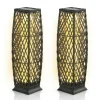 Tangkula 2 Pieces Outdoor Solar Powered Floor Lamps