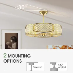Tangkula Caged Ceiling Fan with Light