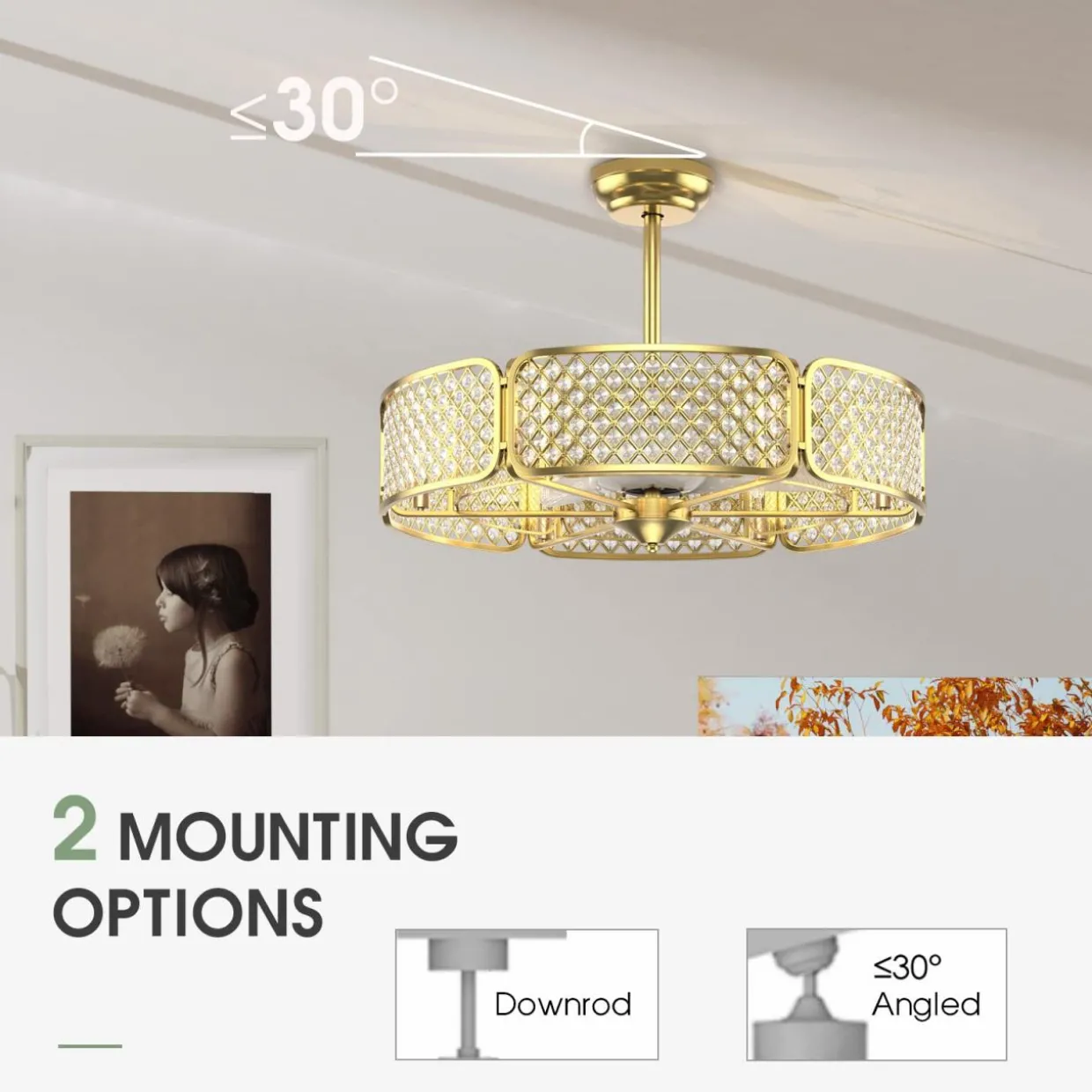 Tangkula Caged Ceiling Fan with Light