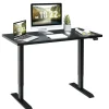 Tangkula Electric Standing Desk, 48 x 24 Inch Sit to Stand Up Desk