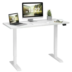 Tangkula Electric Standing Desk, 48 x 24 Inch Sit to Stand Up Desk