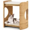Tangkula Elevated Cat Bed for Indoor Cats, 2-Tier Cute Small Cat Tree Tower with Natural Bamboo Frame
