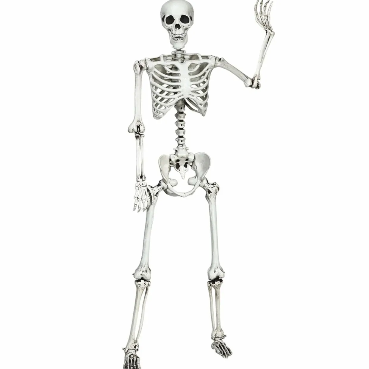 Tangkula Halloween Life Size Full Body Skeleton, 5.4Ft Festival Skeleton Prop Decoration