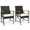 Tangkula Patio Wicker Chair Set of 2, Outdoor PE Rattan Chairs
