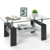 Tangkula Rectangle Glass Coffee Table, 2-Tier Tea Table w/Tempered Glass Tabletop & Stainless Steel Tube