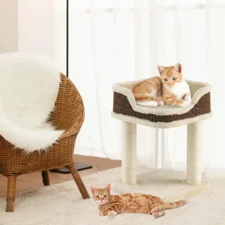 Tangkula Small Cat Tree for Indoor Cats, Modern Carpeted Cat Tower with Soft Plush Perch