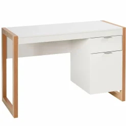 White Computer Desk with Drawer & Cabinet, Wooden Home Office Desk