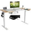 55"x 28" Height Adjustable Electric Standing Desk, Sit Stand Desk w/Control Panel & USB Port