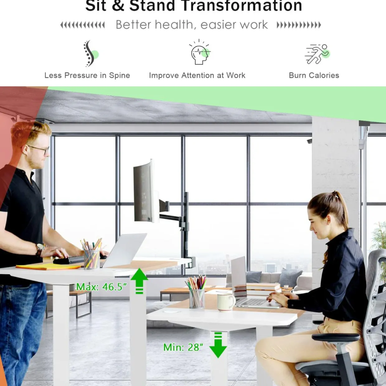 55"x 28" Height Adjustable Electric Standing Desk, Sit Stand Desk w/Control Panel & USB Port